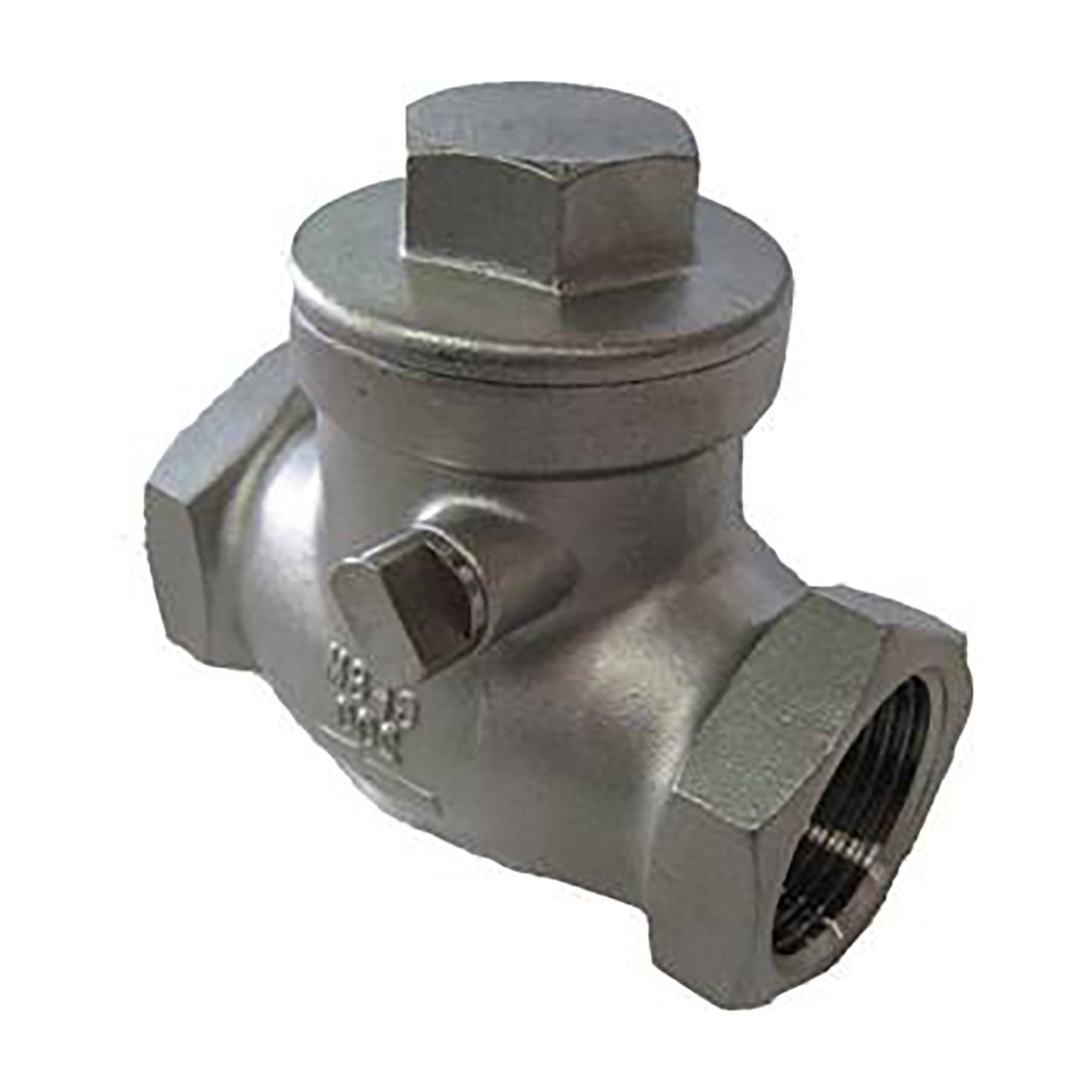 316 SS Swing Check Valve, 200 PSI BSP