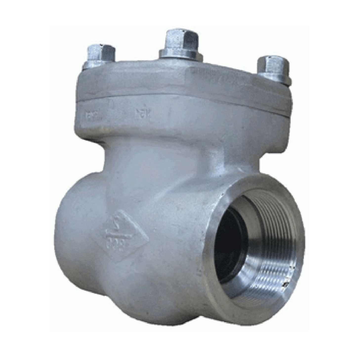 316L Stainless Steel Swing Check Valve – Class 800 NPT