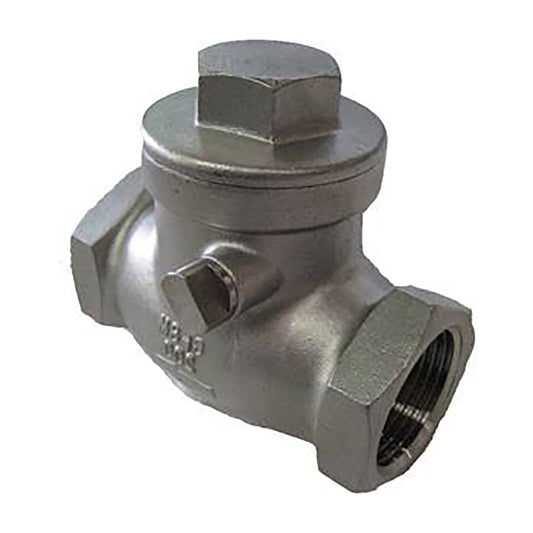 316 SS Swing Check Valve, 200 PSI BSP