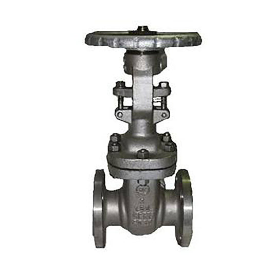 316 Stainless Steel Gate Valve OS&Y Flanged Class 150 (HF Seats)
