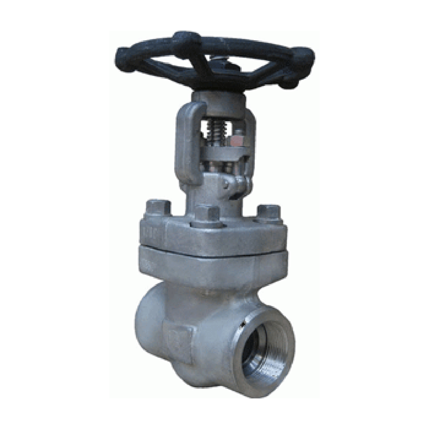 316L Stainless Steel Gate Valve Class 800 NPT (HF Seats)