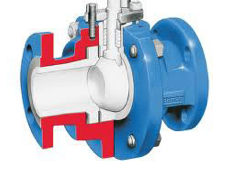 Lined Valves