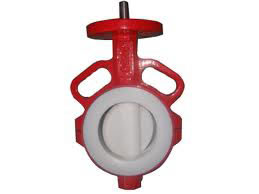 Lined Butterfly Valves